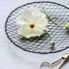Fog Linen Work Mesh Dish Kitchen Accessories