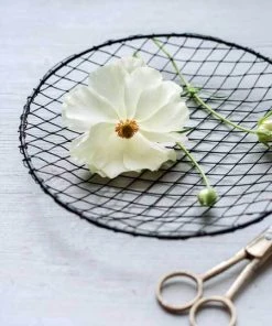 Fog Linen Work Mesh Dish Kitchen Accessories