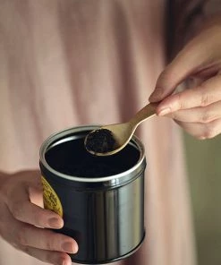 Fog Linen Work Brass Tea Caddy Spoon