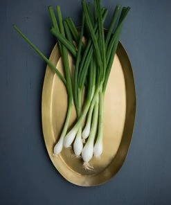 FOG LINEN WORK EUROPE Brass Tray Oval M Trays & Cutlery