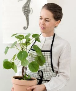 Fog Linen Work Kitchen & Table Piping Apron Jenn