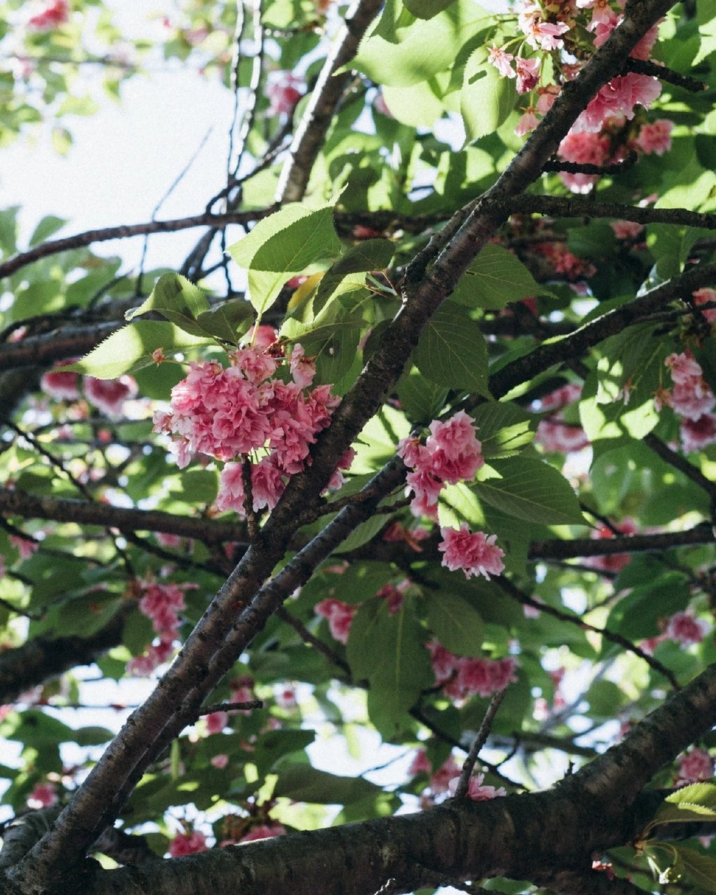 FOG LINEN WORK EUROPE Simplicity At Home 8 FOG LINEN WORK EUROPE Simplicity At Home