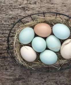 Fog Linen Work Oval Basket